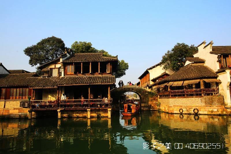 拯救精灵的土地5